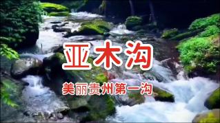 镇平文化系列片之民间曲艺《编花篮》